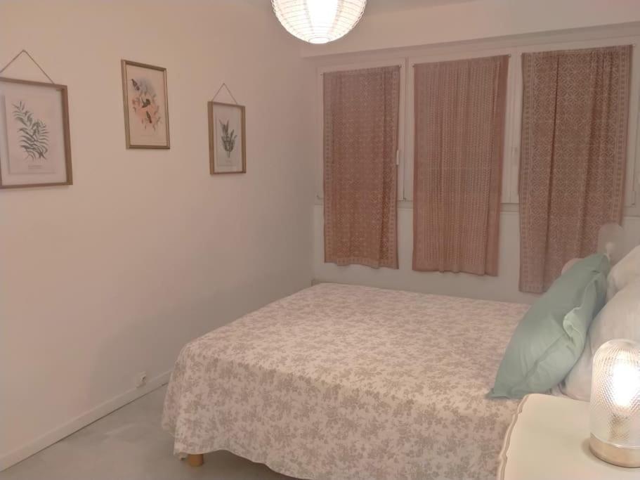 Appartement T3 Plein Centre Saint-Raphaël Buitenkant foto