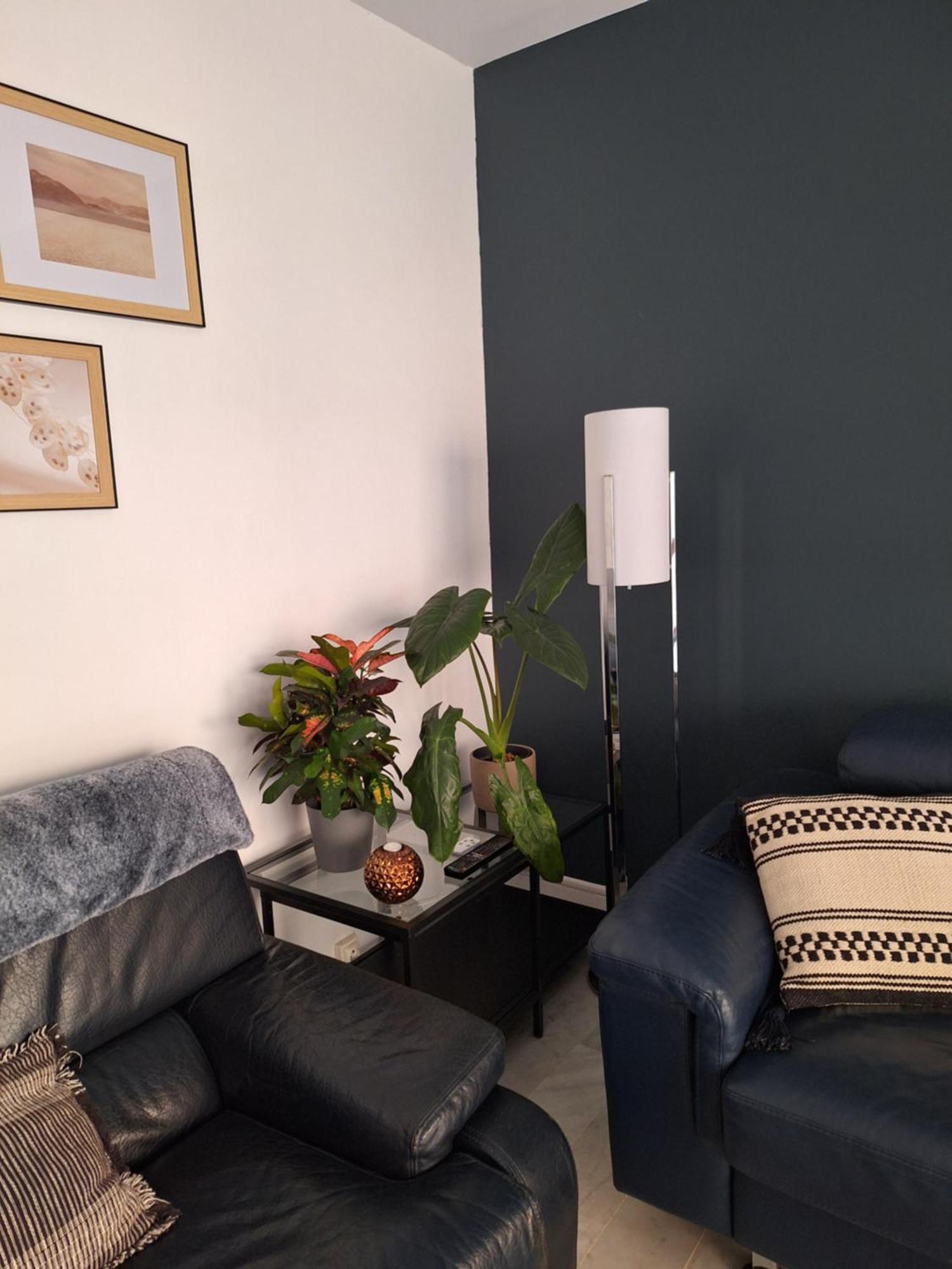 Appartement T3 Plein Centre Saint-Raphaël Buitenkant foto